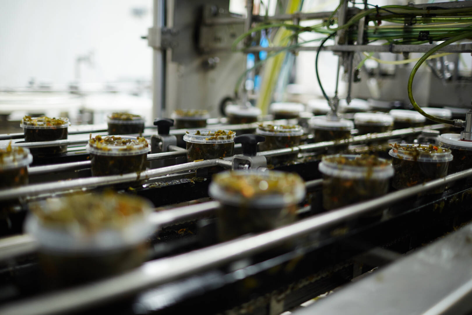 Production of seaweed salad